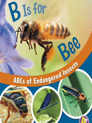 cover image of B Is for Bees